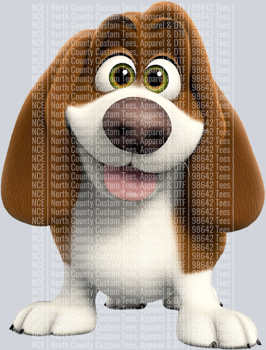 Basset Hound (2)