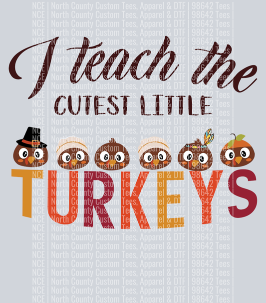 I teach (15)