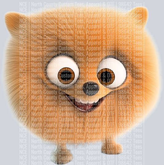 Pomeranian (3)