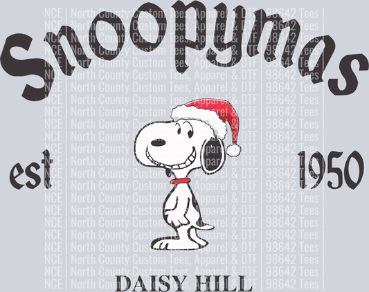 Snoopy-0211231026