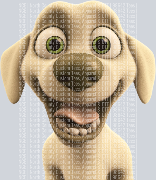 Yellow Labrador Retriever1