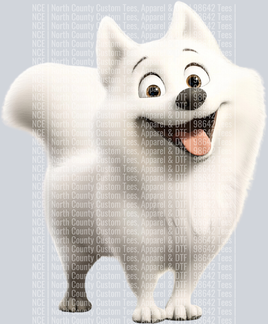 Samoyed