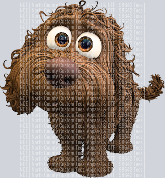 Labradoodle (2)
