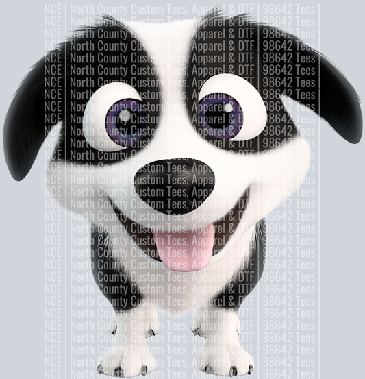 Border Collie (3)