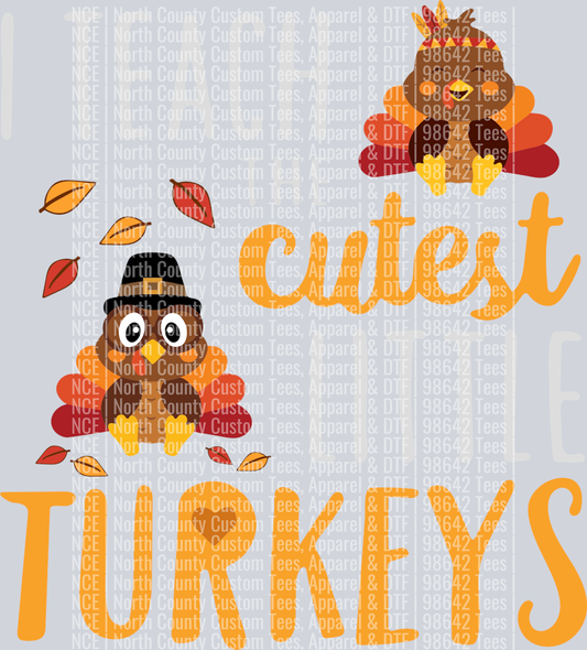 Teach Cutest Turkeys (22)