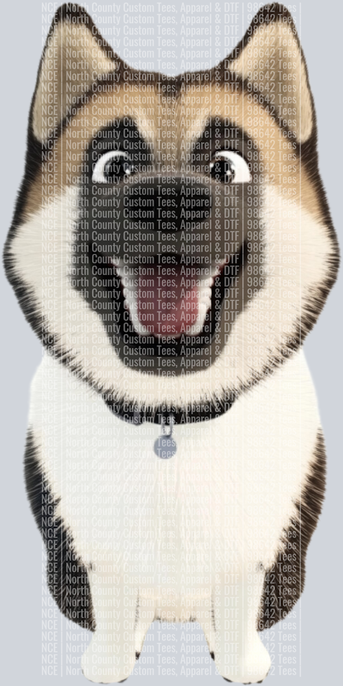 Akita (2)