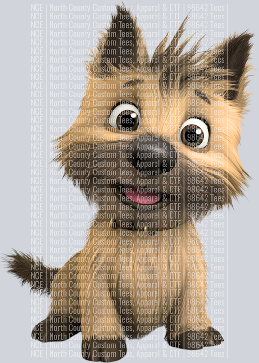 Cairn Terrier