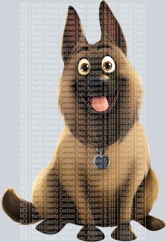 Belgian Shepherd (3)