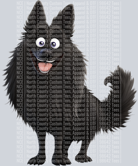 Belgium Sheepdog (3)