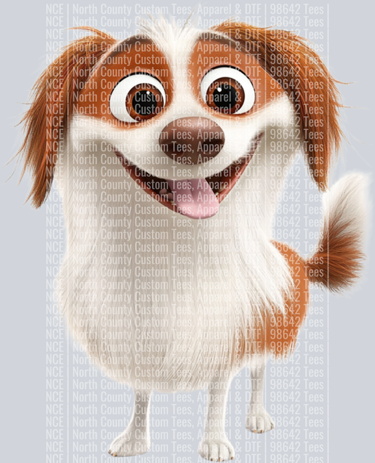 Australian Shepherd (2)