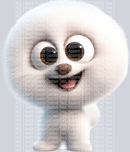 Bichon Frise╠ü