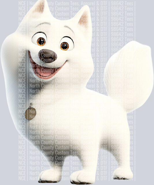 Samoyed (4)