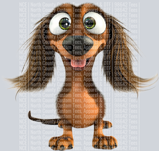 Long Hair Dachshund (2)