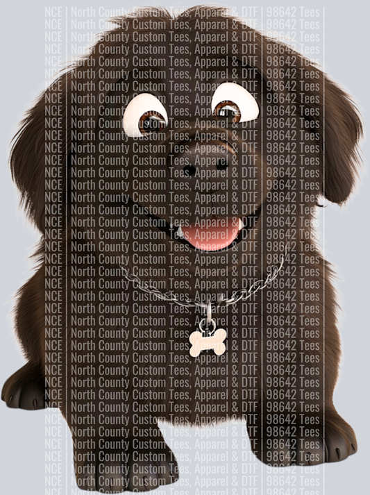Newfoundland (2)