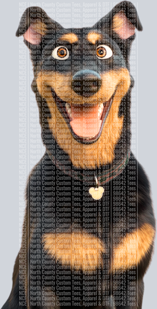 Beauceron (4)