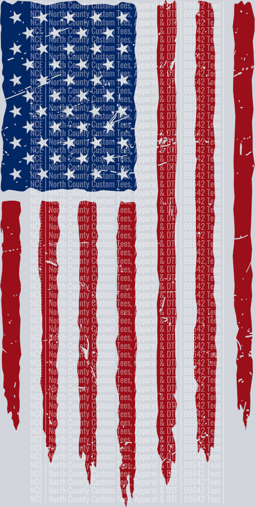 USA Flag 5