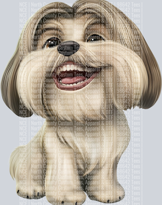 Lhasa Apso