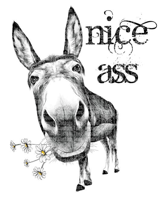 Nice Ass 2