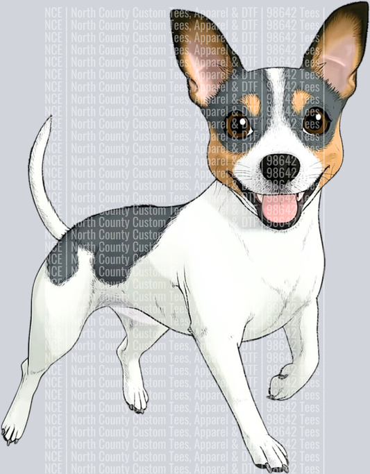 Teddy Roosevelt Terrier (2)