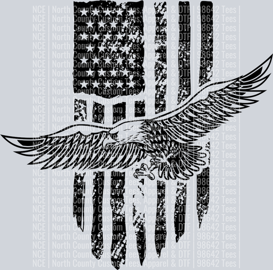 American flag-05
