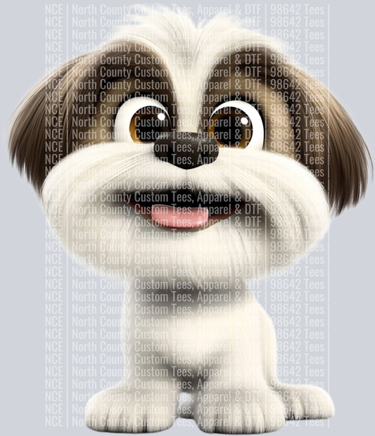 Shi Tzu (3)