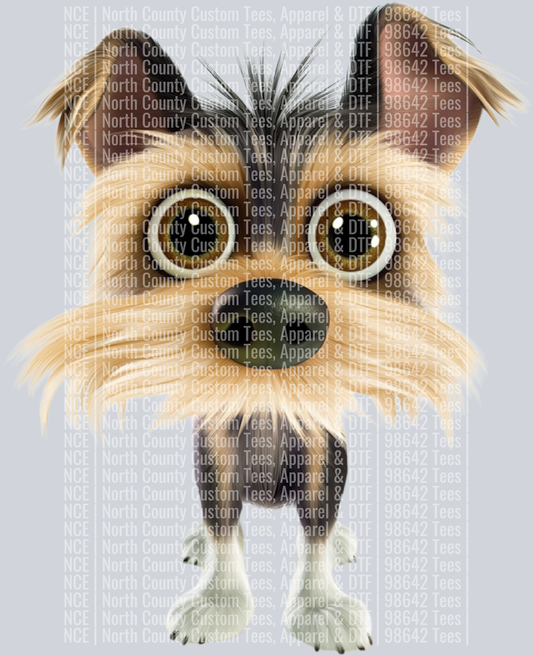 Yorkshire Terrier7