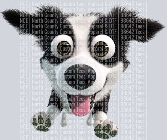 Border Collie (4)