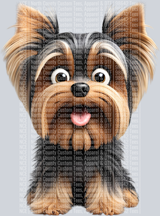 Yorkshire Terrier3