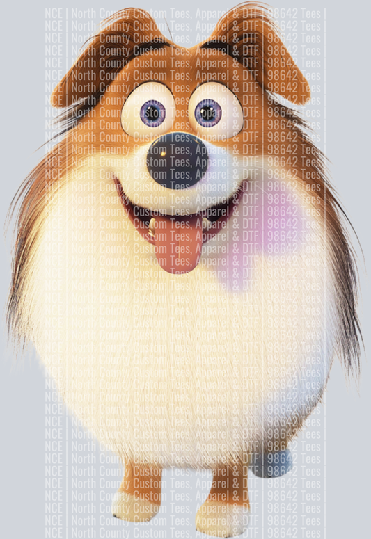 Sheltie_Shetland Sheepdog (4)