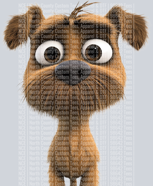 Border Terrier (3)