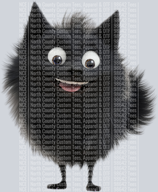 Schipperke (3)