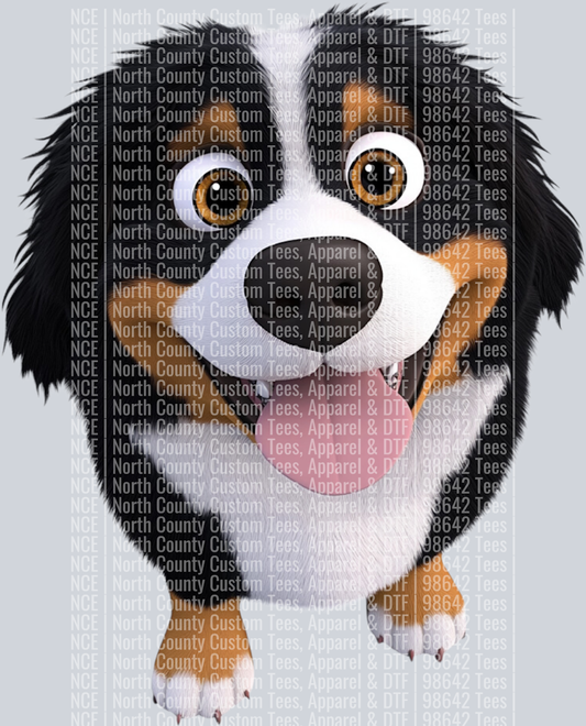 Bernese Mountain Dog (3)