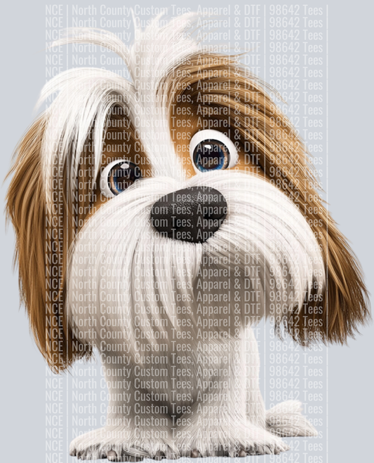 Biewer Terrier (2)