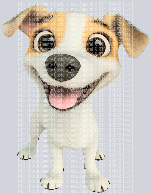 Jack Russell Terrier (2)