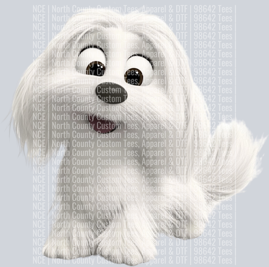 Havanese