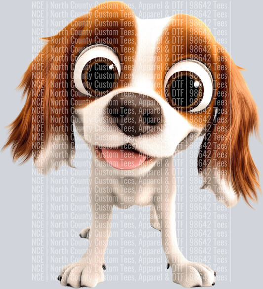 Cavalier King Charles Spaniel (2)