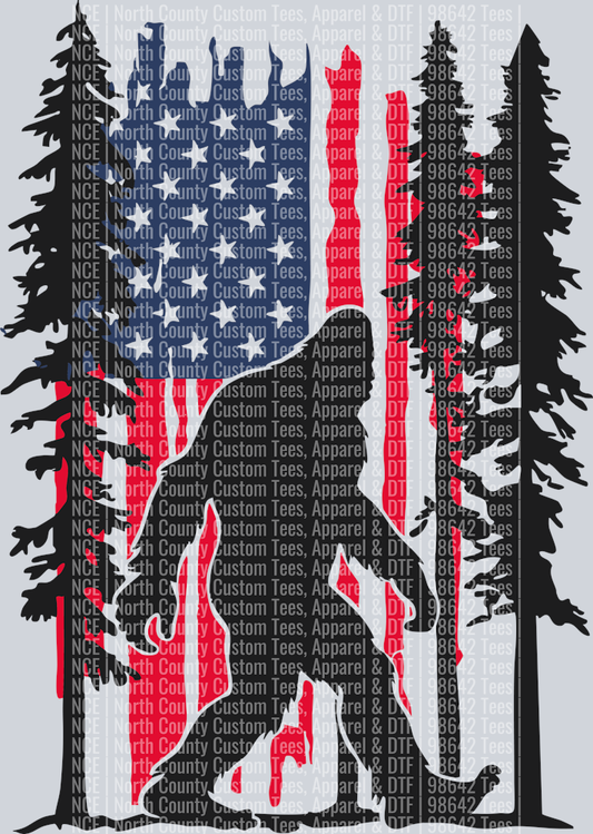USAFLAGBIGFOOT