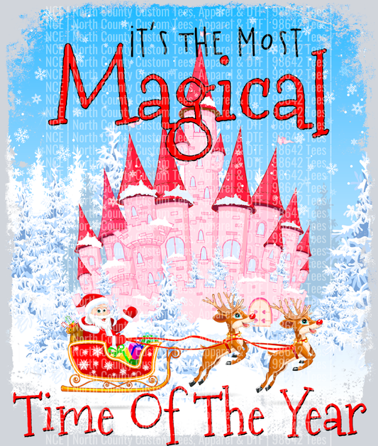 Disney Magical time of year