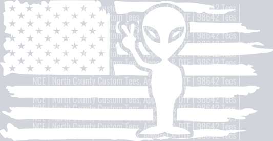 American Distressed Flag Alien