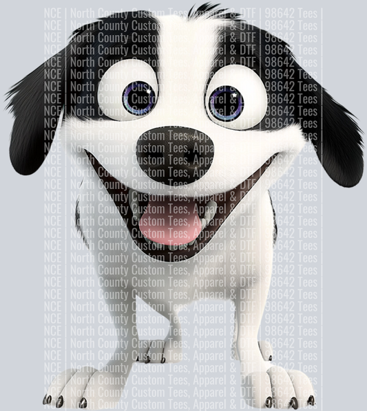 Border Collie