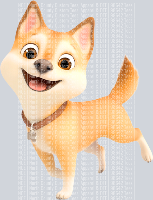 Shiba Inu (3)