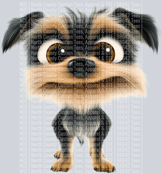 Yorkshire Terrier6