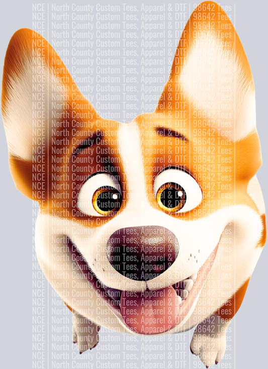 Pembroke Welsh Corgi (2)