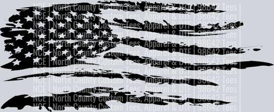 American flag-14