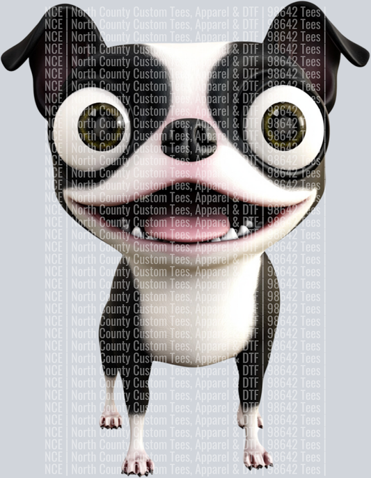 Boston Terrier (3)