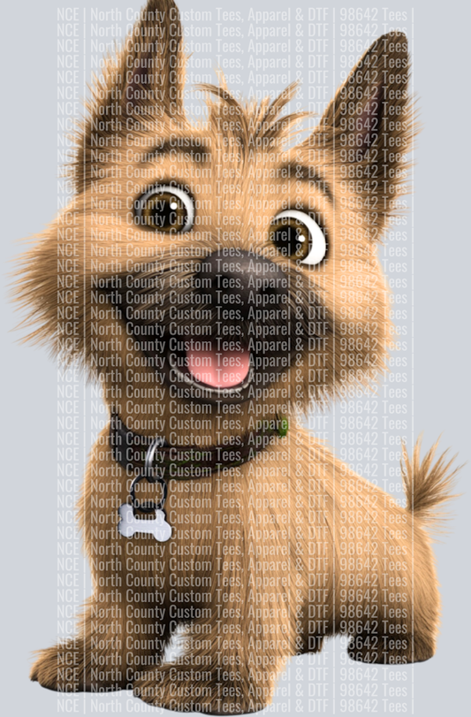 Cairn Terrier (2)