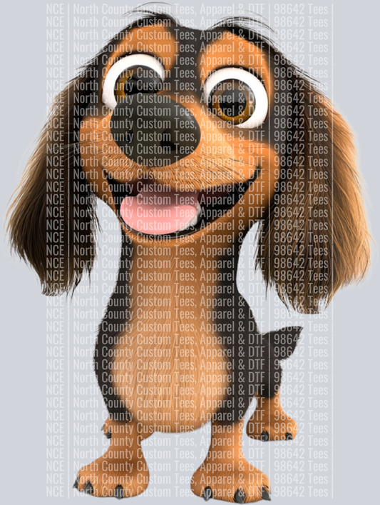 Long Hair Dachshund (4)