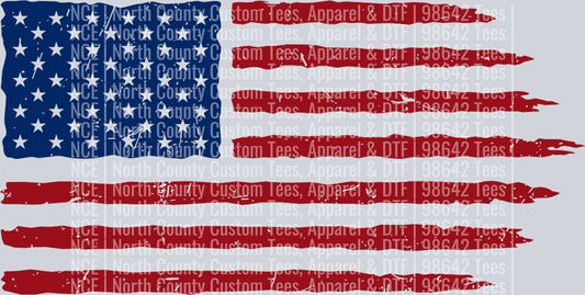 USA Flag 1