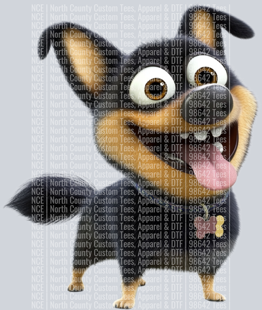 Lancashire Terrier