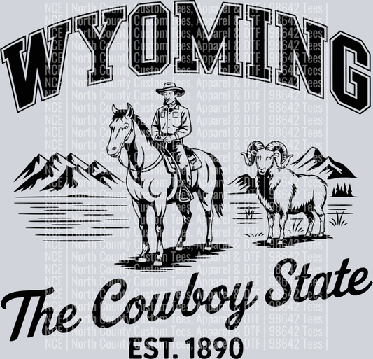 Wyoming 19
